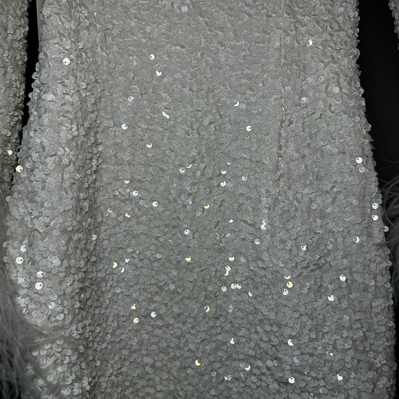 Long Sleeved Sequin Mini Dress w/ Feather Trim - Picture 5 of 12